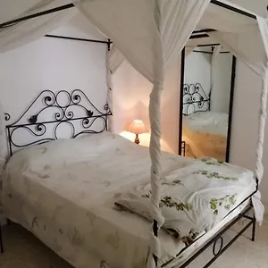 Jardin , El Aouina Tunisie